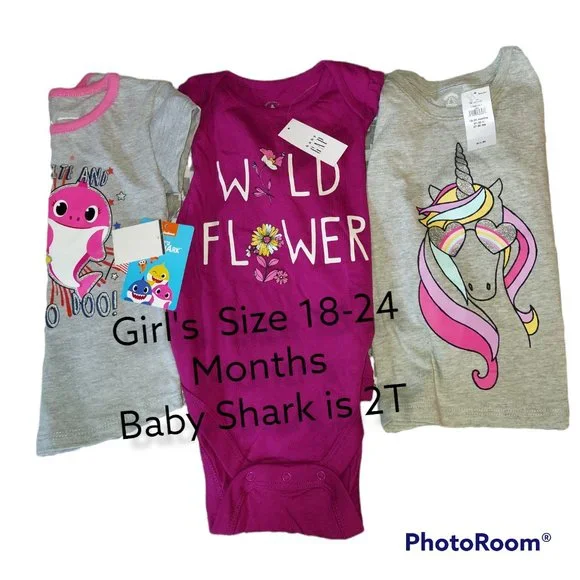 Lot of 3 Girl's Clothes Onesie, Shirts Size 18-24 Months - Picture 2 of 2